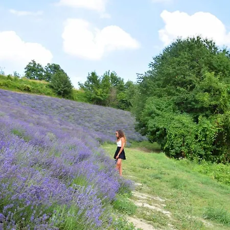 Casa Taro Bed & Breakfast