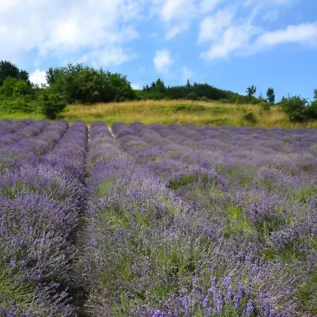 Casa Taro Nocleg ze śniadaniem