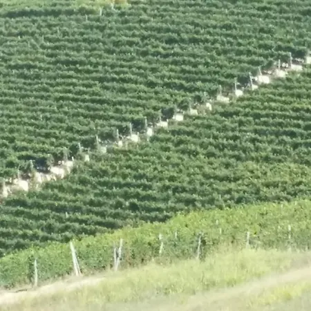 Casa Taro 3* Marsaglia (Piedmont)