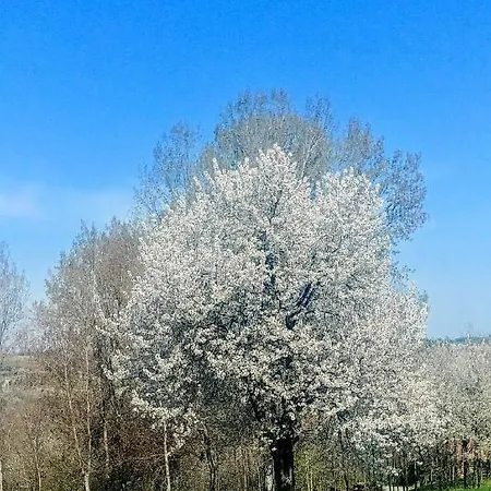Nocleg ze śniadaniem Casa Taro