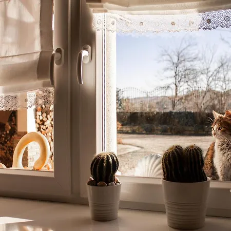 Casa Taro Bed & Breakfast